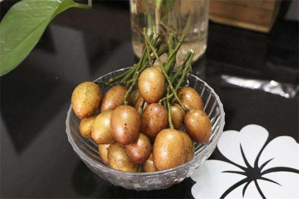 哺乳期可以吃黃皮果嗎 喂奶能吃黃皮果嗎 哺乳期可以吃黃皮果嗎 喂奶能吃黃皮果嗎