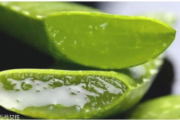 哪個(gè)牌子的蘆薈膠最純 蘆薈祛痘怎么用 哪個(gè)牌子的蘆薈膠最純 蘆薈祛痘怎么用