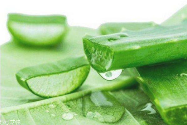 哪個(gè)牌子的蘆薈膠最純 蘆薈祛痘怎么用 哪個(gè)牌子的蘆薈膠最純 蘆薈祛痘怎么用