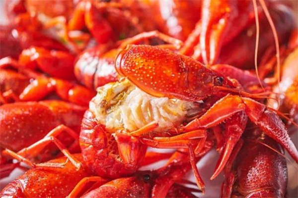 小龍蝦和橙汁能一起吃嗎 為什么吃了小龍蝦不能喝橙汁 小龍蝦和橙汁能一起吃嗎 為什么吃了小龍蝦不能喝橙汁