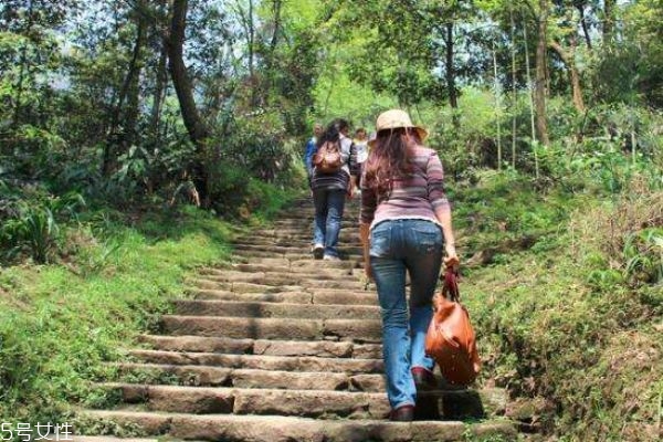 爬山中途可以吃東西嗎 爬山帶什么食物比較好 爬山中途可以吃東西嗎 爬山帶什么食物比較好