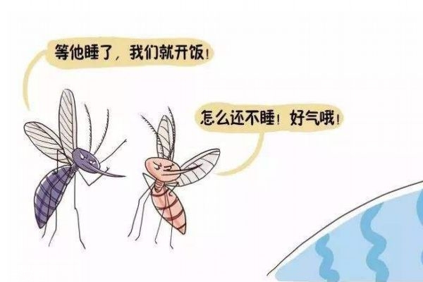 蚊子喜歡咬什么人 蚊子咬人的原因 蚊子喜歡咬什么人 蚊子咬人的原因