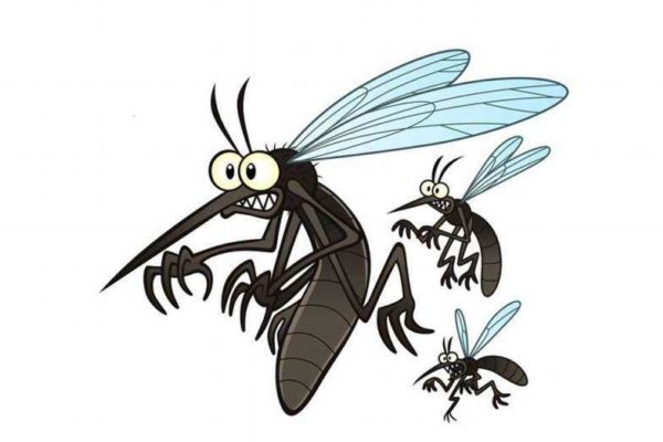 被蚊子咬了可以擦花露水嗎 被蚊子叮咬后的處理方法 被蚊子咬了可以擦花露水嗎 被蚊子叮咬后的處理方法