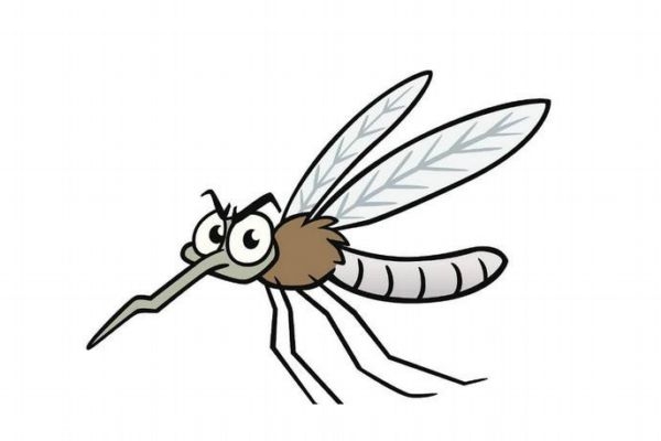 被蚊子咬了可以擦花露水嗎 被蚊子叮咬后的處理方法 被蚊子咬了可以擦花露水嗎 被蚊子叮咬后的處理方法