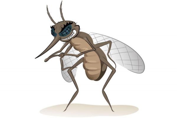 被蚊子咬后為什么會癢 夏季驅蚊小妙方 被蚊子咬后為什么會癢 夏季驅蚊小妙方