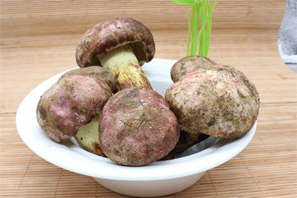 牛肝菌可以生吃嗎 牛肝菌能直接吃生的嗎 牛肝菌可以生吃嗎 牛肝菌能直接吃生的嗎