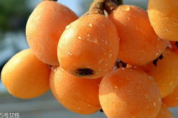 枇杷營養(yǎng)價(jià)值和功效 枇杷的食用功效 枇杷營養(yǎng)價(jià)值和功效 枇杷的食用功效