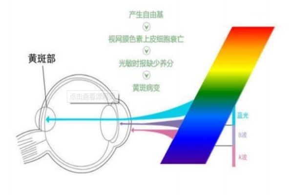 怎么樣預(yù)防近視 手機(jī)是否真的危害眼睛 怎么樣預(yù)防近視 手機(jī)是否真的危害眼睛