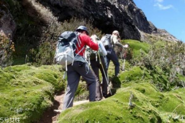 爬山對膝蓋有損傷嗎 教你保護(hù)膝蓋 爬山對膝蓋有損傷嗎 教你保護(hù)膝蓋