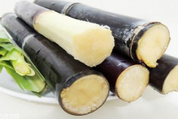 買甘蔗怎么挑 挑選甘蔗的小訣竅 買甘蔗怎么挑 挑選甘蔗的小訣竅