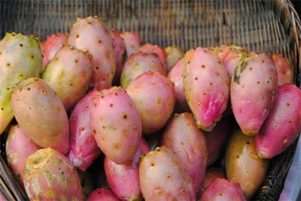 仙人掌果可以煮水喝嗎 仙人掌果泡水的功效 仙人掌果可以煮水喝嗎 仙人掌果泡水的功效