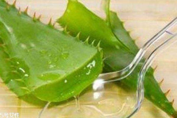 吃蘆薈可以治療痘痘嗎 蘆薈的功效是什么 吃蘆薈可以治療痘痘嗎 蘆薈的功效是什么