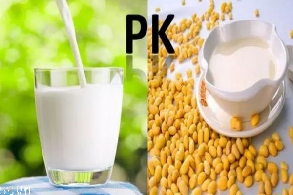 牛奶和豆?jié){哪一個營養(yǎng)更高 牛奶和豆?jié){的區(qū)別 牛奶和豆?jié){哪一個營養(yǎng)更高 牛奶和豆?jié){的區(qū)別