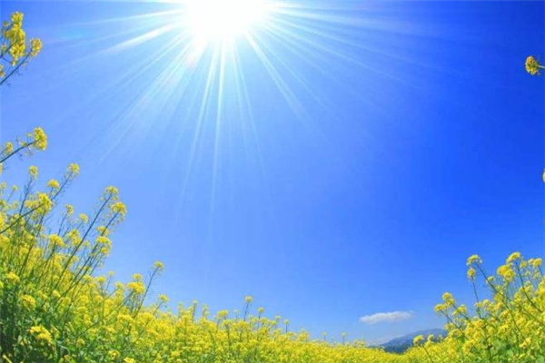 中伏為什么有十天有二十天 中伏為什么有兩個 中伏為什么有十天有二十天 中伏為什么有兩個