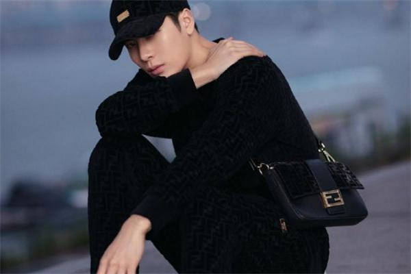 fendi王嘉爾聯名包包多少錢 fendi王嘉爾限定聯名價格