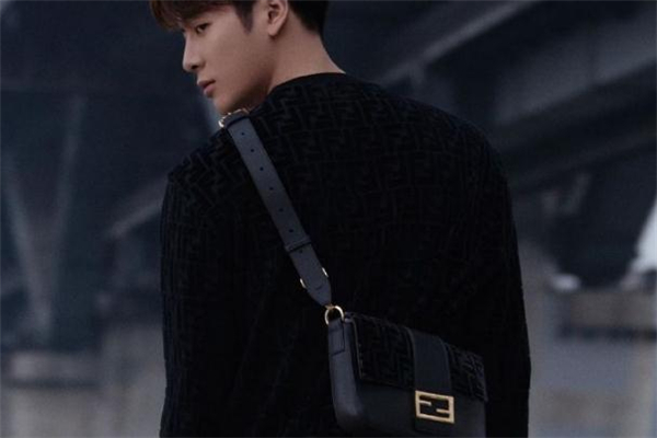 fendi王嘉爾聯(lián)名包包多少錢 fendi王嘉爾限定聯(lián)名價(jià)格