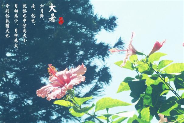 大暑過后會涼快嗎 大暑過后還要熱多久 大暑過后會涼快嗎 大暑過后還要熱多久