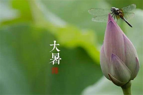 大暑有什么風俗 大暑有什么講究 大暑有什么風俗 大暑有什么講究