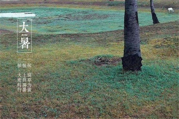 大暑有什么風俗 大暑有什么講究 大暑有什么風俗 大暑有什么講究