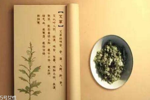 艾草是什么 艾草的好處 艾草是什么 艾草的好處