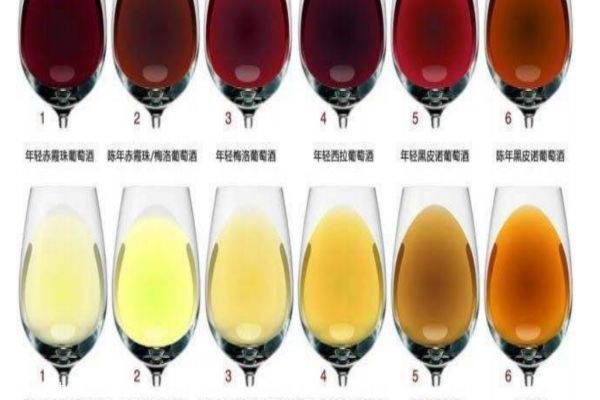 酒有多少種類呢 白酒和啤酒的區(qū)別 酒有多少種類呢 白酒和啤酒的區(qū)別