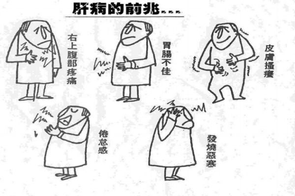 為什么會得乙肝 得乙肝的癥狀有什么 為什么會得乙肝 得乙肝的癥狀有什么