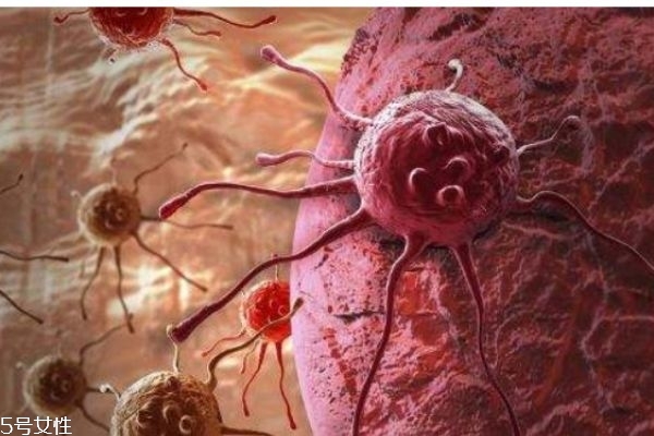 艾滋病是什么病 艾滋病通過什么途徑傳播 艾滋病是什么病 艾滋病通過什么途徑傳播