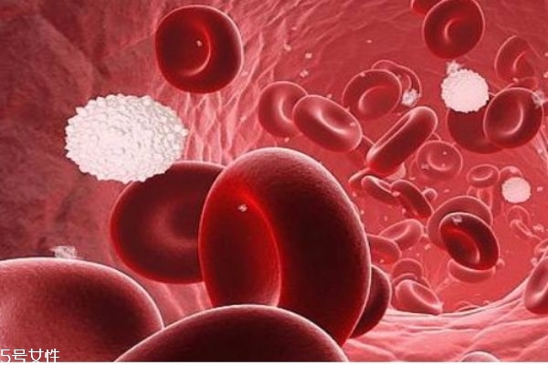 艾滋病是什么病 艾滋病通過什么途徑傳播 艾滋病是什么病 艾滋病通過什么途徑傳播