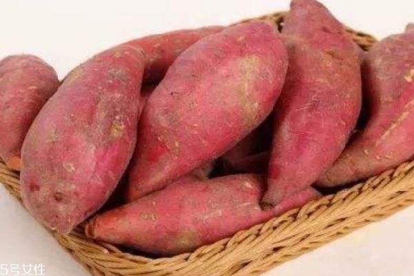 紅薯生的可以吃嗎 紅薯有什么功效 紅薯生的可以吃嗎 紅薯有什么功效