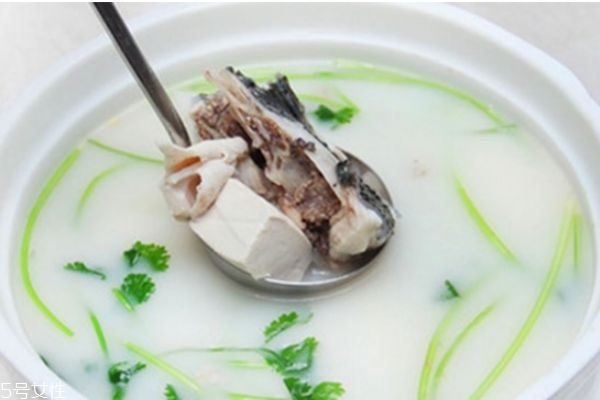 魚湯怎么變白 如何燉魚湯又濃又白 魚湯怎么變白 如何燉魚湯又濃又白