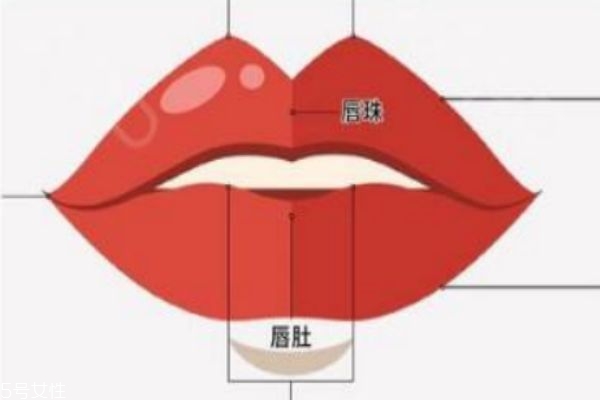 如何可以豐唇 豐唇手術(shù)需要注意什么呢 如何可以豐唇 豐唇手術(shù)需要注意什么呢