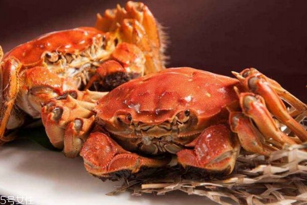 孕婦能吃螃蟹嗎 教你孕婦怎么正確吃螃蟹 孕婦能吃螃蟹嗎 教你孕婦怎么正確吃螃蟹