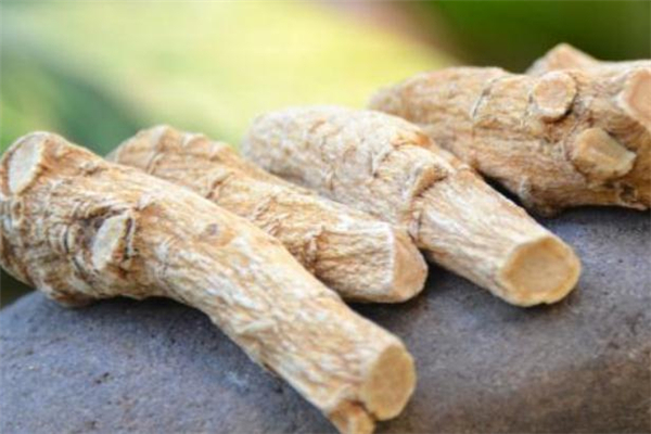 西洋參冷藏還是冷凍好 西洋參怎么保存 西洋參冷藏還是冷凍好 西洋參怎么保存