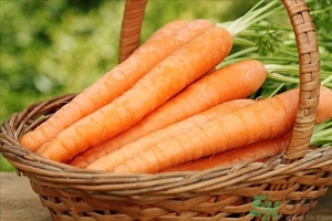 喝胡蘿卜汁有什么好處?喝胡蘿卜汁能預(yù)防乳腺癌嗎 喝胡蘿卜汁有什么好處?喝胡蘿卜汁能預(yù)防乳腺癌嗎