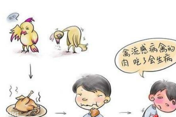 禽流感是什么病呢 如何預(yù)防禽流感呢 禽流感是什么病呢 如何預(yù)防禽流感呢