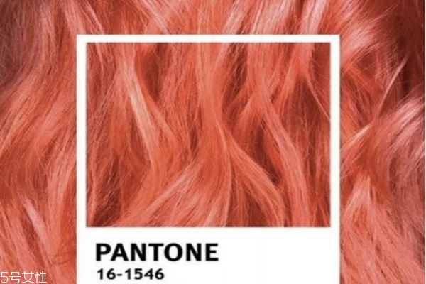 臟橘色頭發(fā)適合什么人 臟橘色頭發(fā)適合什么年齡 臟橘色頭發(fā)適合什么人 臟橘色頭發(fā)適合什么年齡
