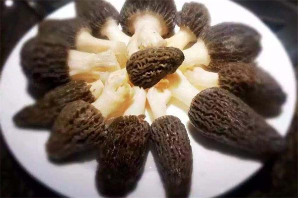 吃羊肚菌會過敏嗎 羊肚菌過敏癥狀是什么 吃羊肚菌會過敏嗎 羊肚菌過敏癥狀是什么