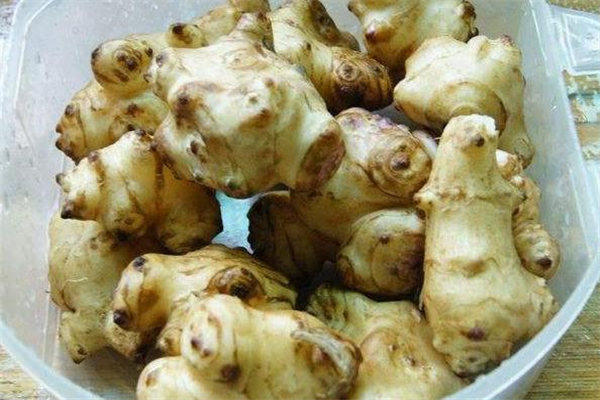 洋姜可以晚上吃嗎 晚上吃洋姜好嗎 洋姜可以晚上吃嗎 晚上吃洋姜好嗎