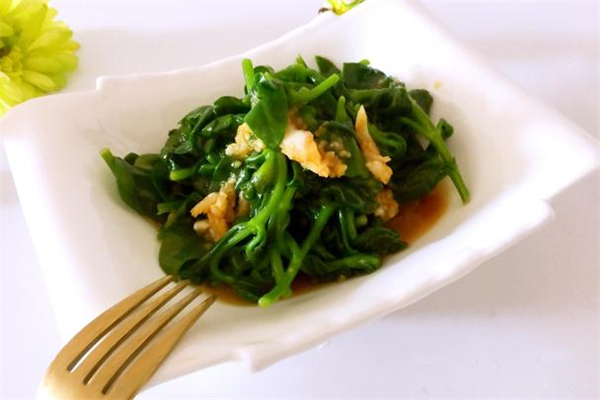 穿心蓮怎么吃 穿心蓮的家常做法 穿心蓮怎么吃 穿心蓮的家常做法