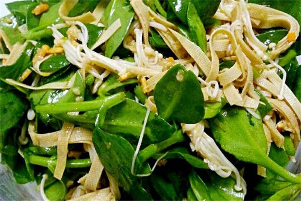 穿心蓮孕婦能吃嗎 穿心蓮禁忌人群 穿心蓮孕婦能吃嗎 穿心蓮禁忌人群