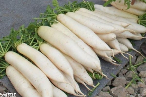 蘿卜干有什么功效 蘿卜的功效有什么 蘿卜干有什么功效 蘿卜的功效有什么