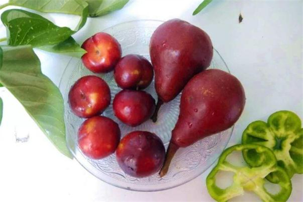 紅啤梨放軟了才能吃嗎 紅啤梨放幾天會(huì)變軟嗎 紅啤梨放軟了才能吃嗎 紅啤梨放幾天會(huì)變軟嗎