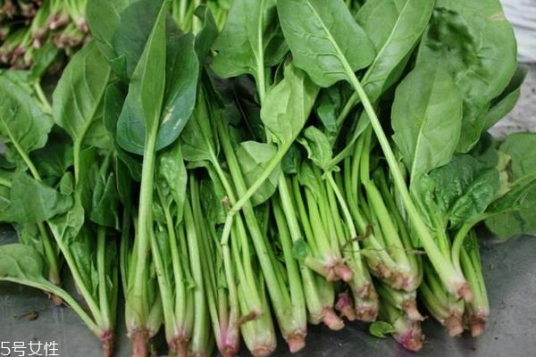 菠菜有什么功效 菠菜的營養(yǎng)價值是什么 菠菜有什么功效 菠菜的營養(yǎng)價值是什么