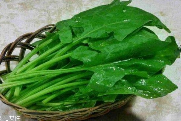 菠菜有什么功效 菠菜的營養(yǎng)價值是什么 菠菜有什么功效 菠菜的營養(yǎng)價值是什么