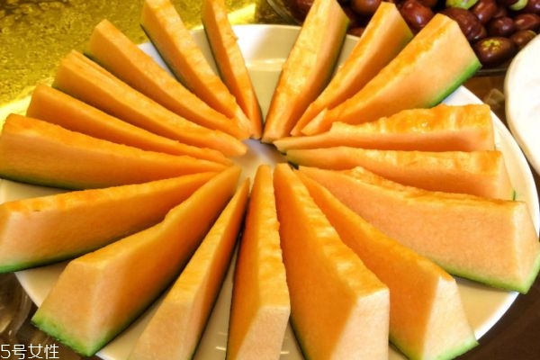 哈密瓜的含糖量是多少呢 哈密瓜成熟在幾月呢 哈密瓜的含糖量是多少呢 哈密瓜成熟在幾月呢