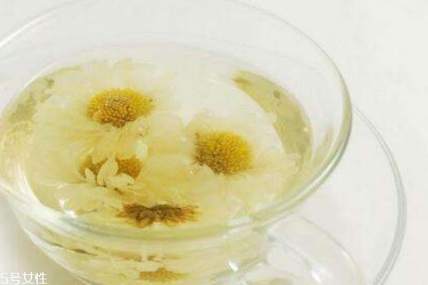 菊花有什么種類 菊花有什么功效呢 菊花有什么種類 菊花有什么功效呢