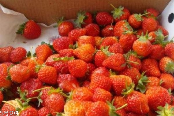 草莓有什么功效 多吃草莓有什么好處 草莓有什么功效 多吃草莓有什么好處