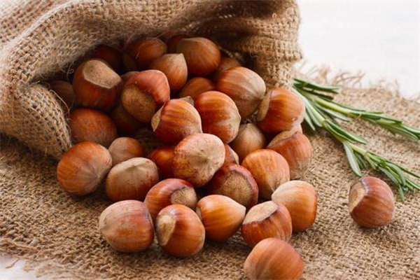 榛子和開心果哪個熱量高 榛子和開心果哪個減肥 榛子和開心果哪個熱量高 榛子和開心果哪個減肥