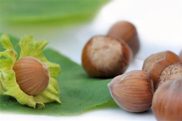 榛子可以冷凍保存嗎 炒熟的榛子怎么保存 榛子可以冷凍保存嗎 炒熟的榛子怎么保存