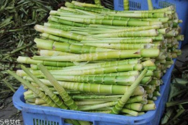 竹筍有什么營(yíng)養(yǎng)價(jià)值呢 竹筍的功效有什么呢 竹筍有什么營(yíng)養(yǎng)價(jià)值呢 竹筍的功效有什么呢